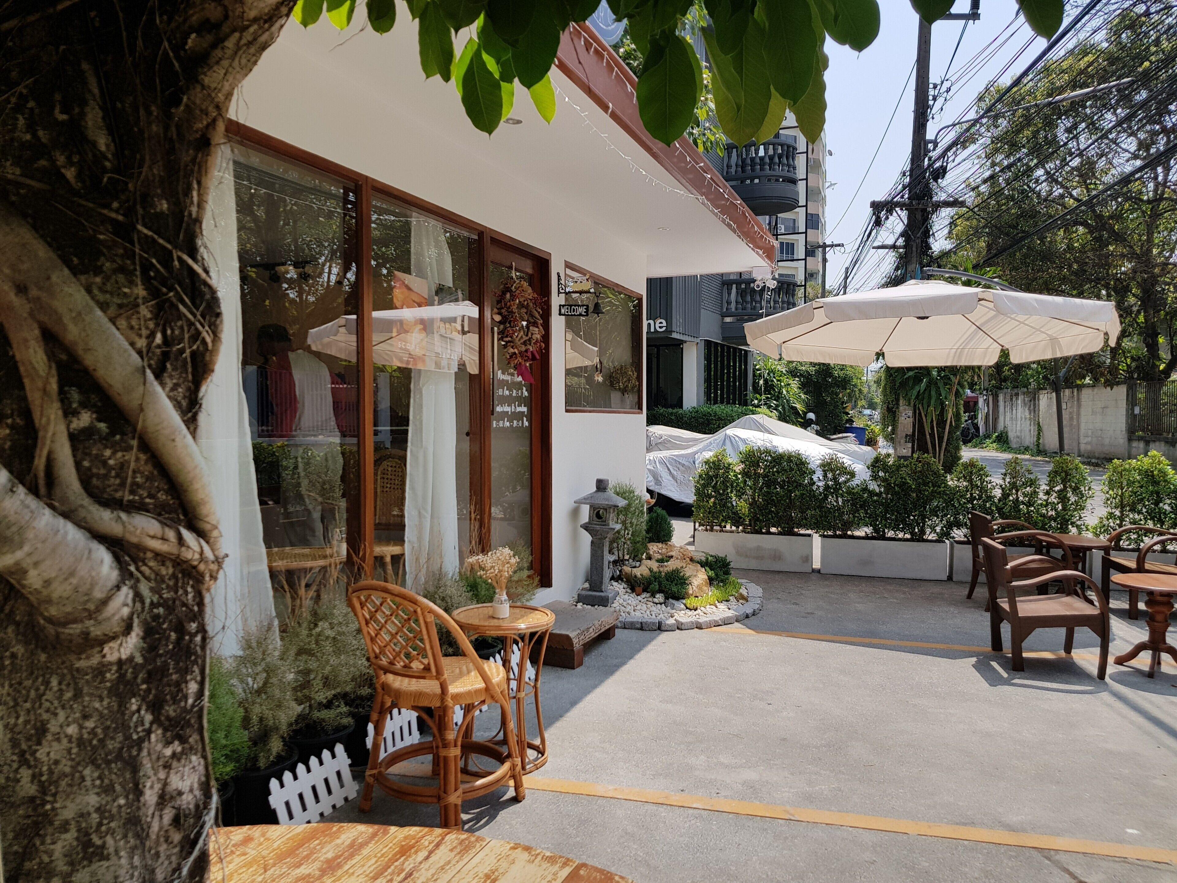 Shane Hotel — Photos 1
